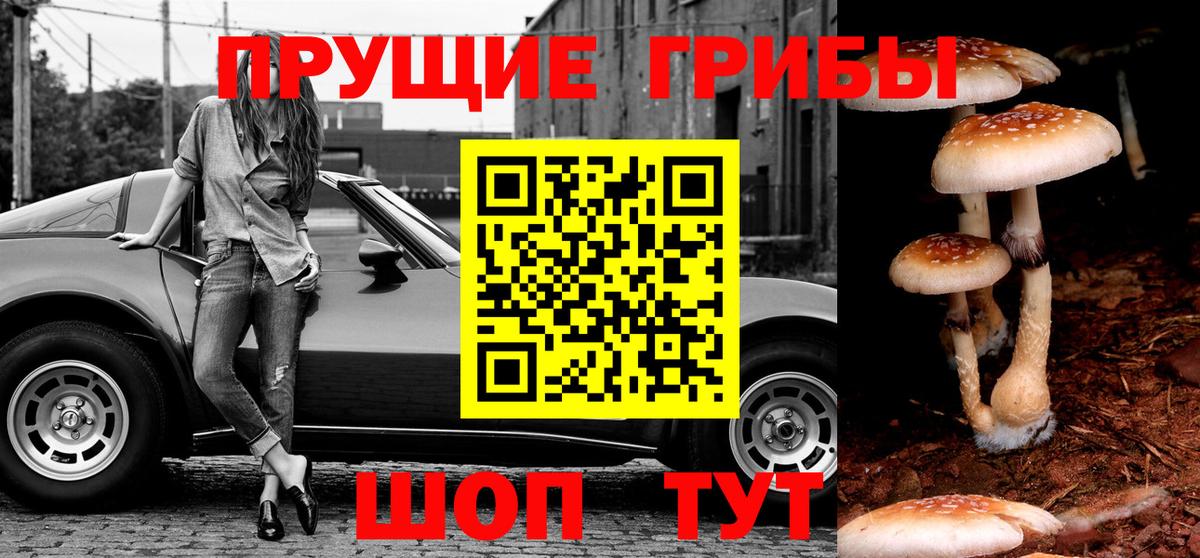 цены   Псилоцибиновые грибы Psilocybine cubensis  Вход с VPN  Азнакаево  Галлюциногенные грибы Magic Shrooms 